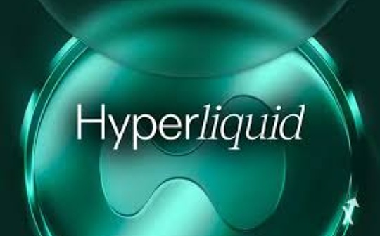 Hyperliquid: Transparent dark pool first step feature image