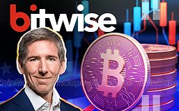 Bitwise CIO:在加密行业应如何投资